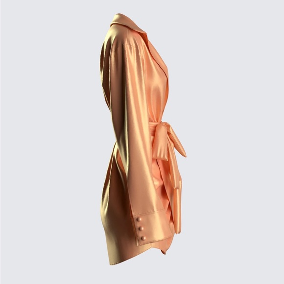 Finesse Remi Wrap Shirt Dress - Picture 5 of 14